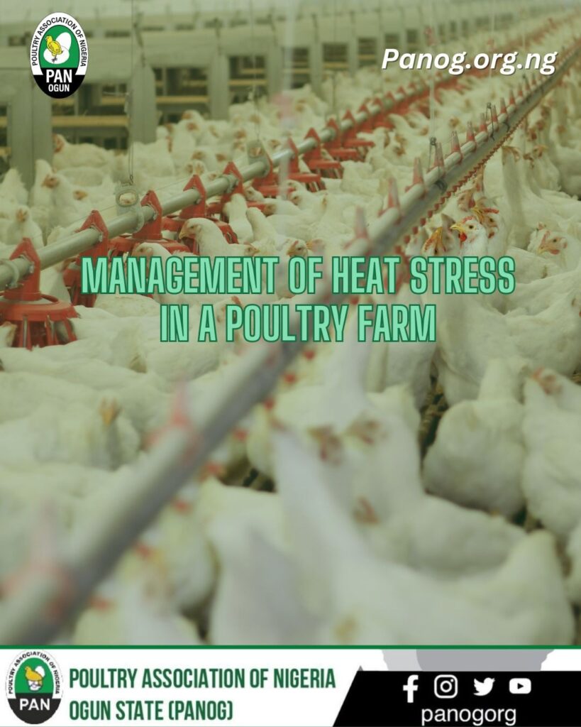 To help poultry farmers manage heat stress in their farm, in other to aid adequate productivity. 